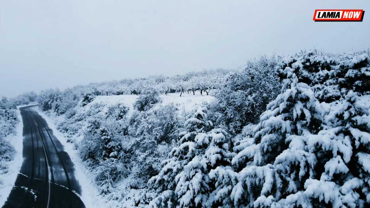 Καιρός – Φθιώτιδα: Ο χιονισμένος Μπράλος από ψηλά – Εικόνες που παραπέμπουν σε πίνακα ζωγραφικής (video)