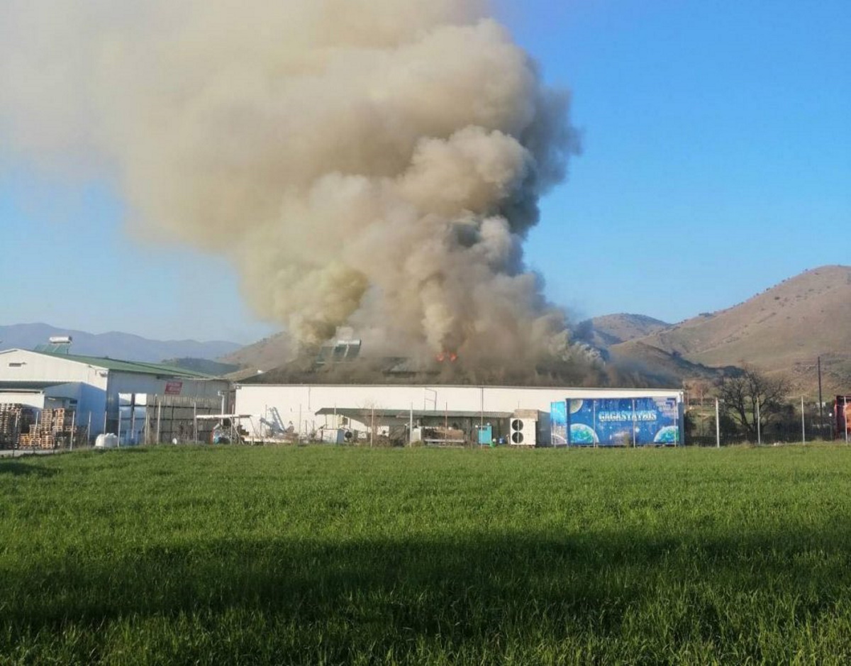 Μεγάλη φωτιά στο εργοστάσιο μεγάλης εταιρείας αλλαντικών στα Τρίκαλα