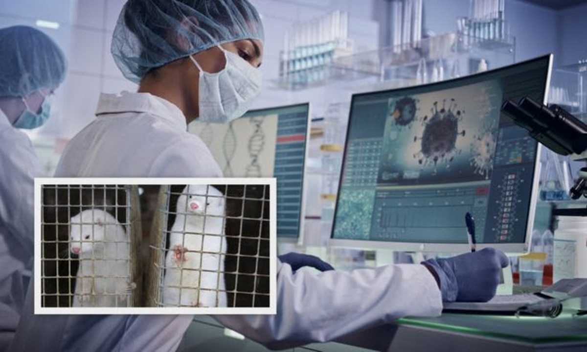 Περιφέρεια Δυτικής Μακεδονίας: Ζητά τον κατά προτεραιότητα εμβολιασμό των εκτροφέων μινκ