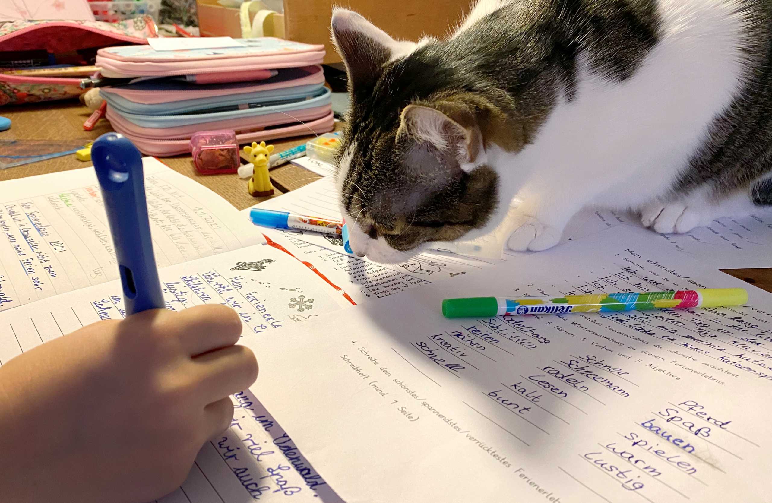 Cat "Mouse" comes close as nine year-old Kaethe finishes her homeschooling work as the spread of the coronavirus disease (COVID-19) continues during an extended lockdown in Jugenheim near Frankfurt, Germany, January 12, 2021.  REUTERS