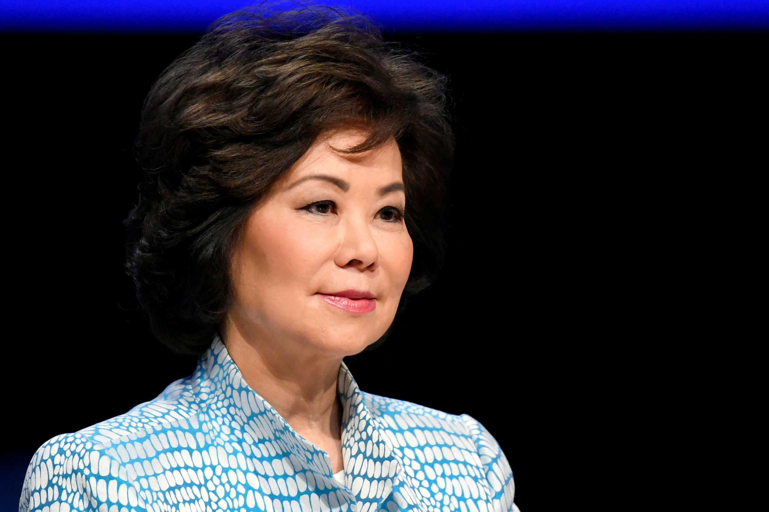 FILE PHOTO: Elaine Chao, U.S. Secretary of Transportation speaks at the Global Entrepreneurship Summit 2019 (GES 2019) in The Hague, Netherlands June 4, 2019. REUTERS