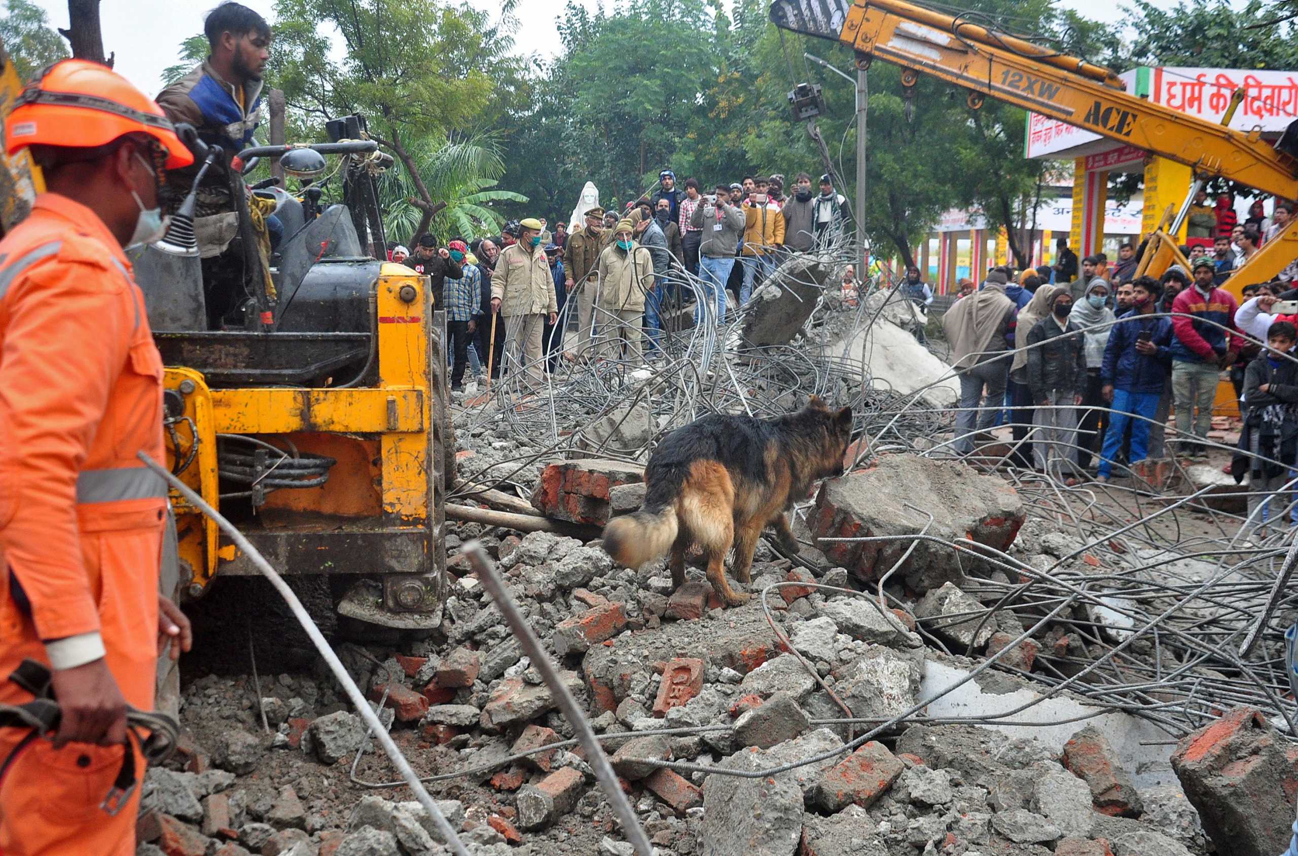 A sniffer dog examines the debris after the roof of a shelter at a crematorium collapsed in Ghaziabad, India, January 3, 2021. REUTERS