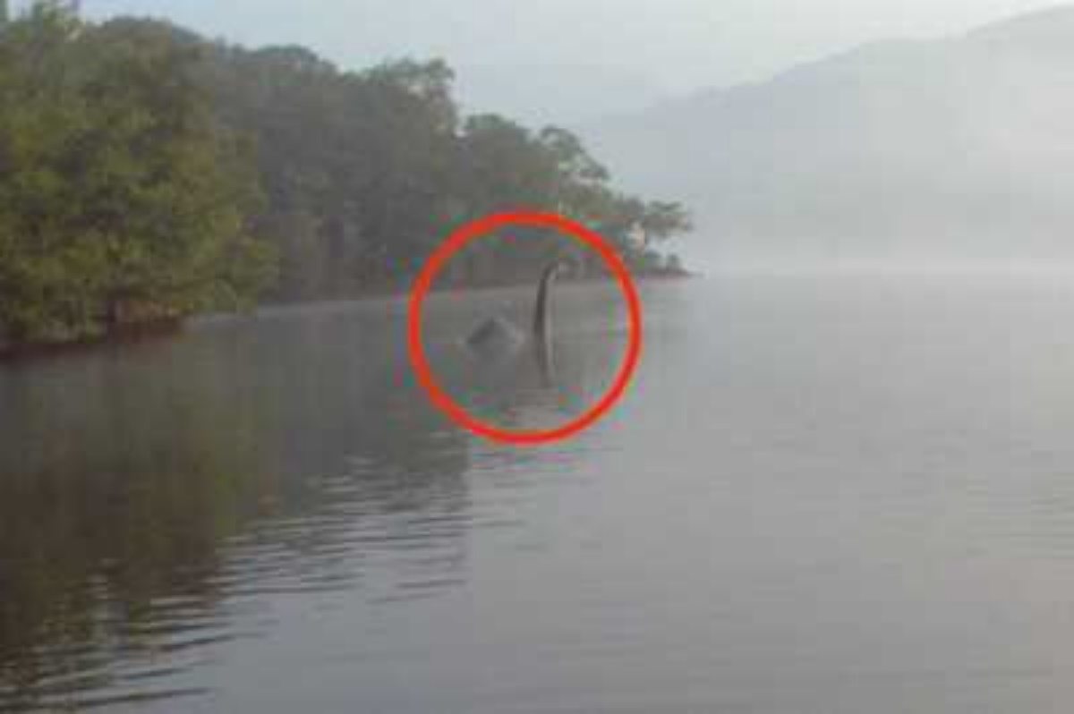 尼斯湖水怪再现？英国夫妇在尼斯湖拍到大型神秘动物，视频极清晰 - 知乎