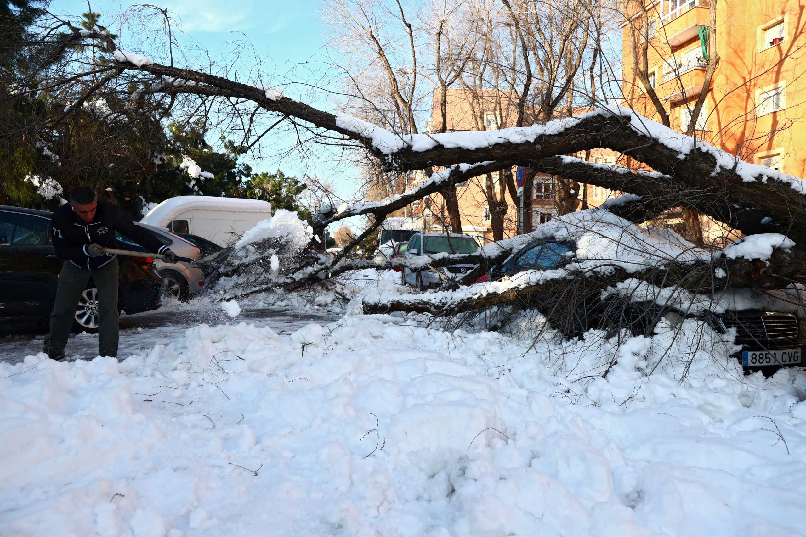 A man uses a shovel to clean an icy street next to a fallen tree after heavy snowfall in Madrid, Spain, January 14, 2021. REUTERS