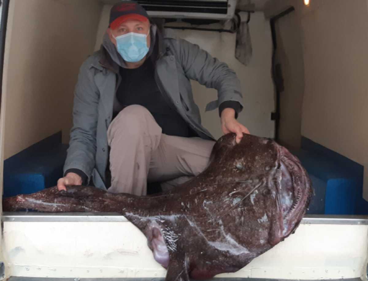 Καλαμάτα: Αυτή είναι η πεσκανδρίτσα που  ζύγισε 30 κιλά – Χαμόγελα μετά την ψαριά της ζωής του (pics, video)