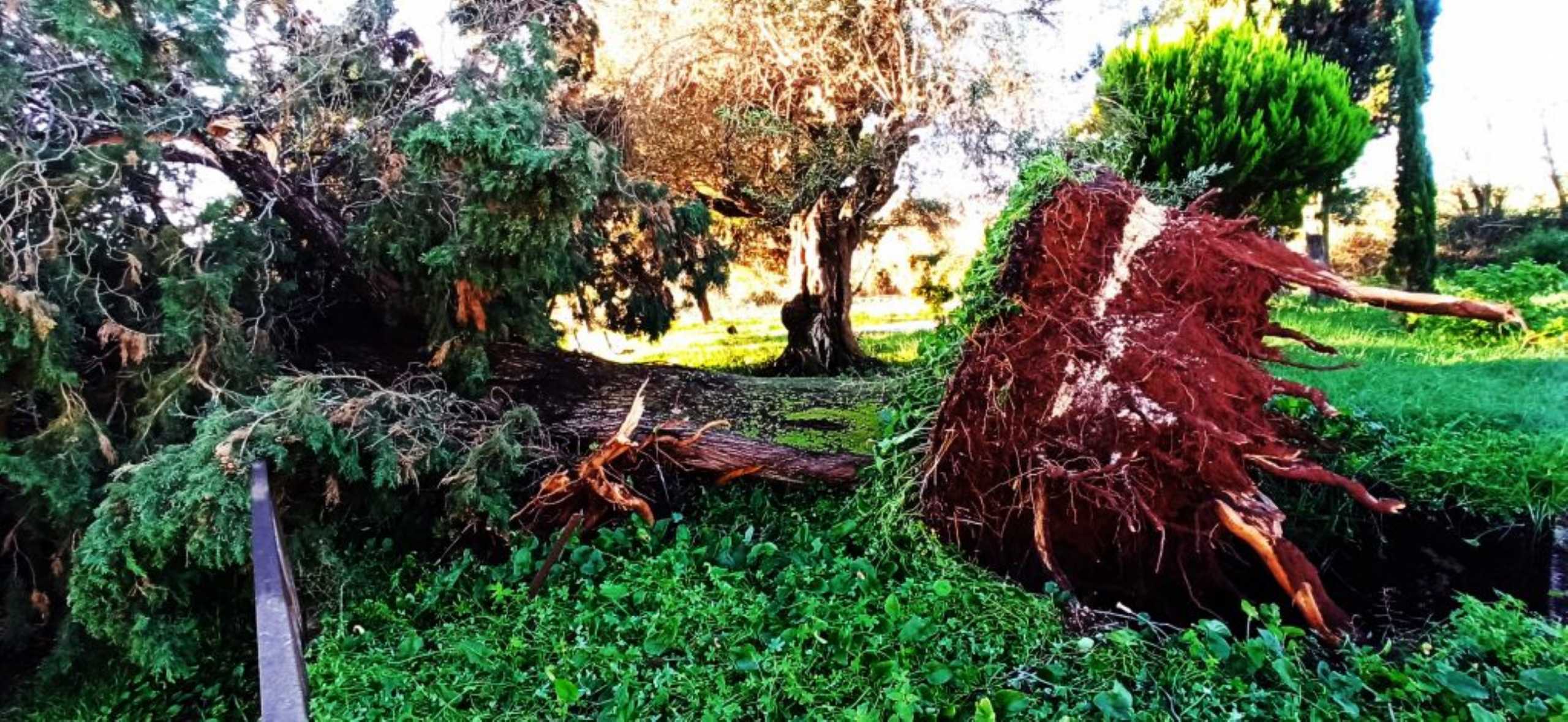 Καιρός – Πρέβεζα: Χτύπησε ανεμοστρόβιλος και σάρωσε τα πάντα (pics)