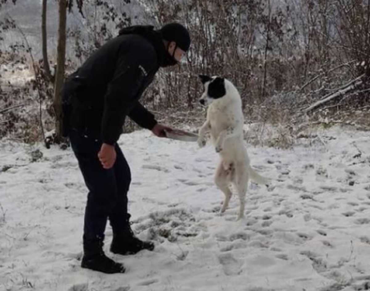 Ήπειρος: Η κίνηση αγάπης αστυνομικού σε αδέσποτο σκύλο που έγινε viral μέσα σε λίγες ώρες (pic)