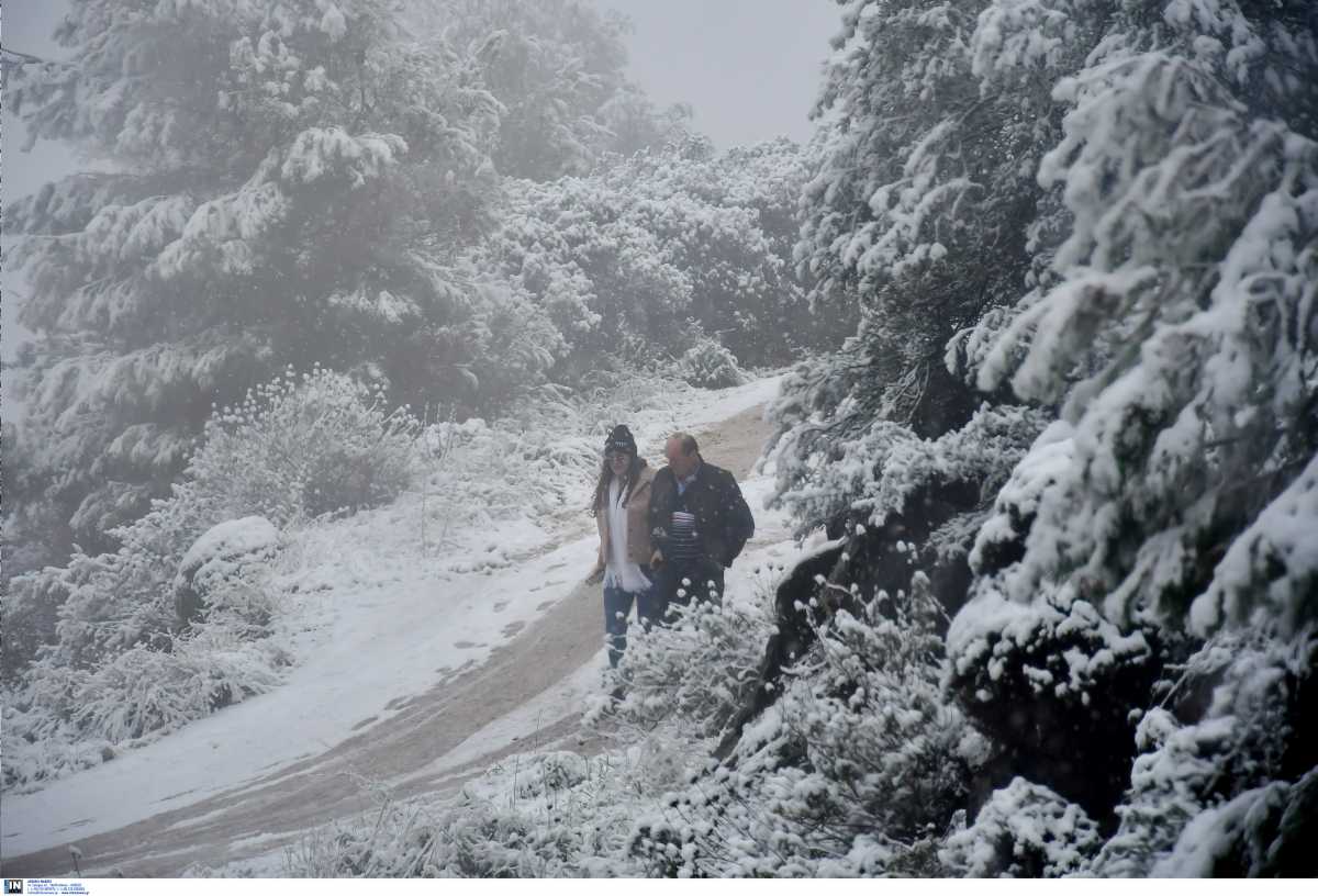 Καιρός – Λέανδρος: Έφτασε στο -19 η θερμοκρασία! Ποια περιοχή θα χτυπηθεί τις επόεμενες ώρες