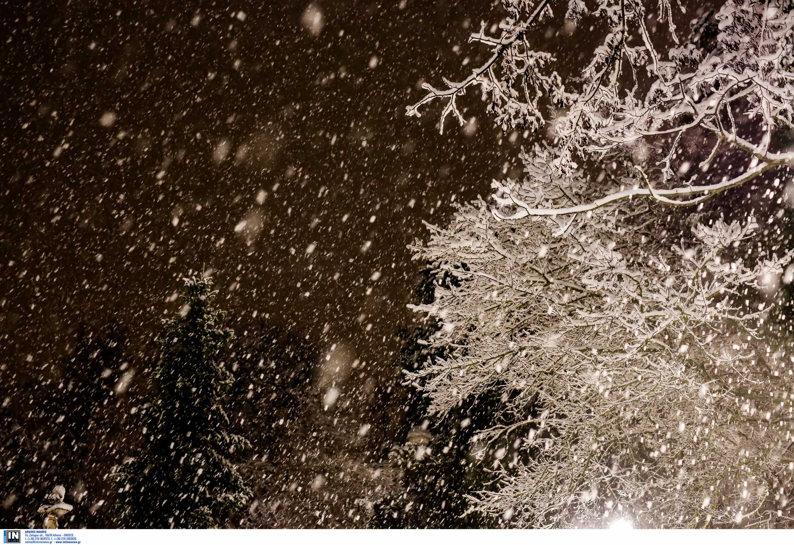 Θεσσαλονίκη: «Ντύνονται» στα λευκά οι ορεινές περιοχές – Χιόνια και στην Κοζάνη