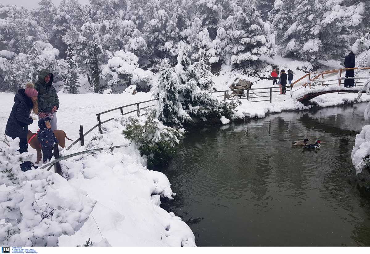 Καιρός αύριο: Χιόνια και πολικές θερμοκρασίες