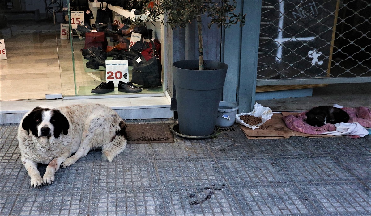 Λάρισα: Η ανάγκη τους έκανε να μονοιάσουν – Οι εικόνες που κεντρίζουν τα βλέμματα στο κέντρο της πόλης (pics)