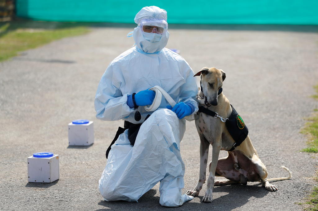 An army soldier wearing personal protective equipment (PPE) sits next to a military dog after a demonstration of the dog on how to detect the coronavirus disease (COVID-19), at an army veterinary hospital in New Delhi, India, February 9, 2021. REUTERS