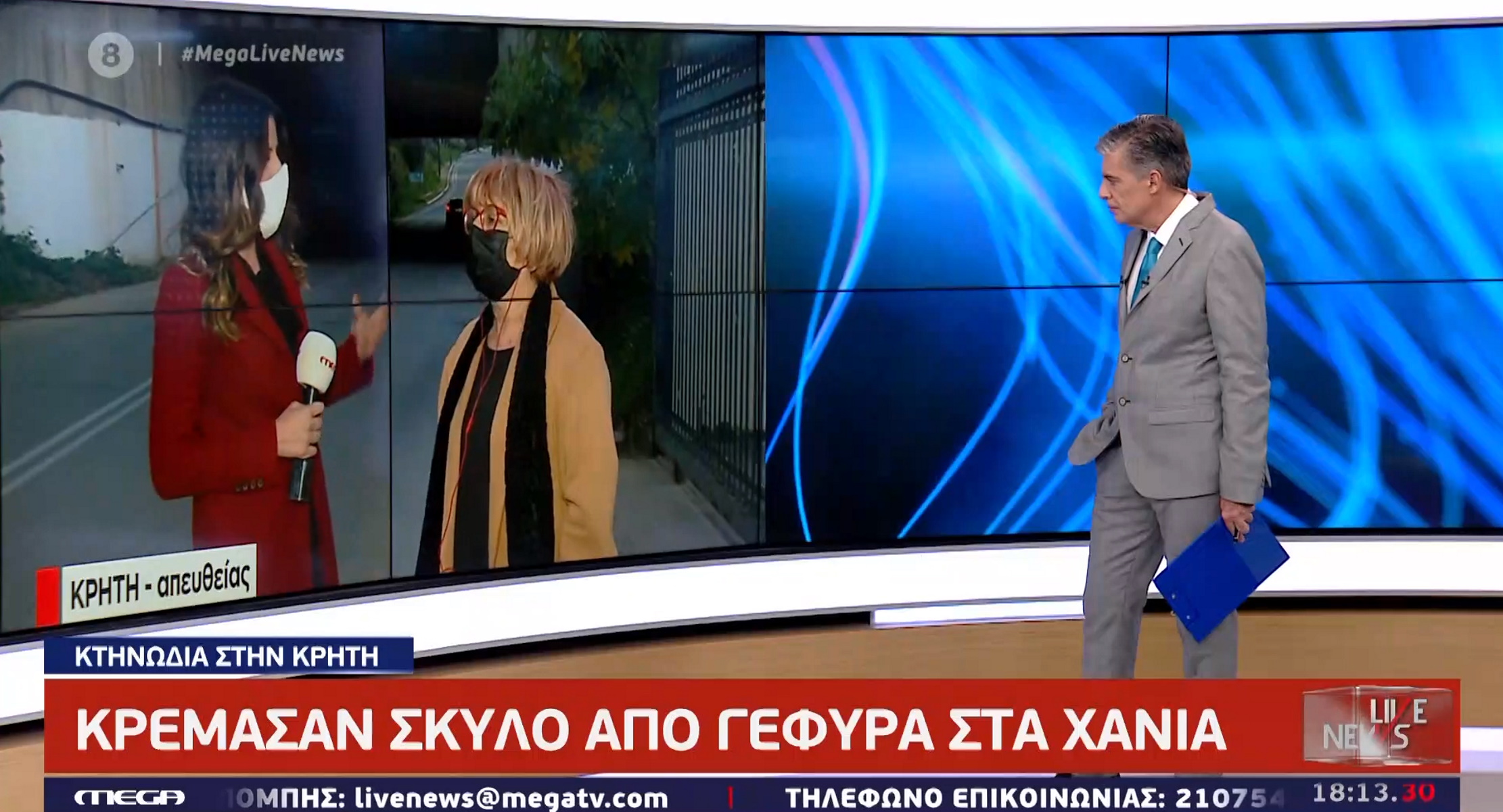 Κτηνωδία στα Χανιά: Οργή γι’ αυτόν που κρέμασε τον σκύλο (video)