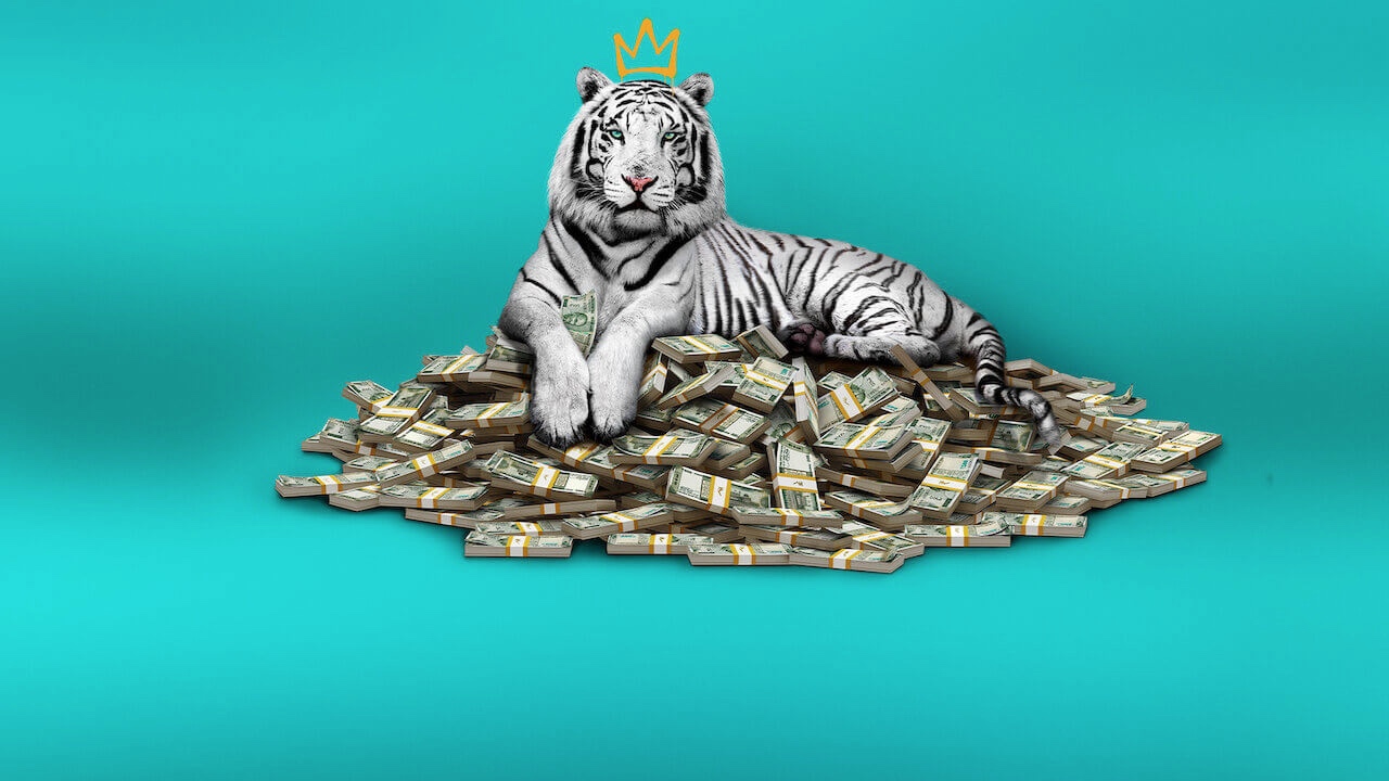 Γιατί πρέπει να δείτε στο Netflix το «White Tiger»