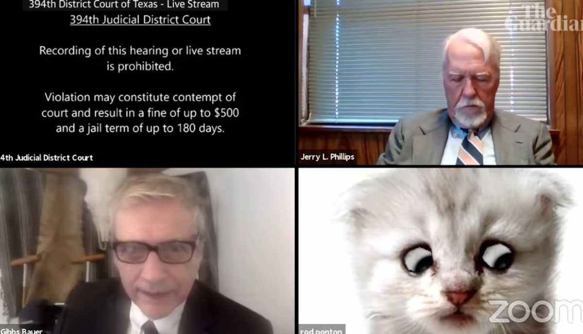 Δίκη μέσω Zoom στο Τέξας: Δικηγόρος προσπαθούσε να πείσει τον δικαστή ότι δεν είναι γάτα