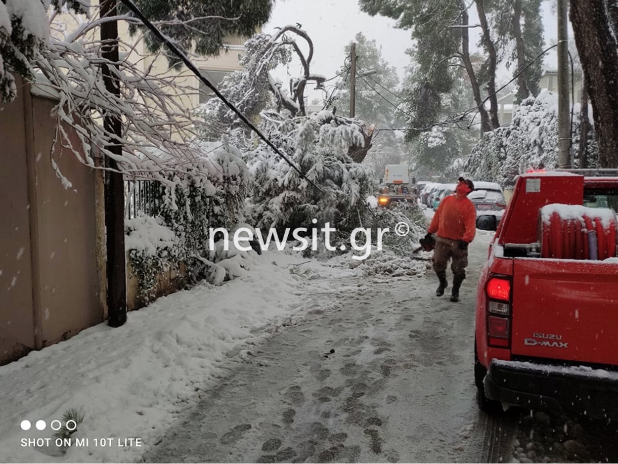 Κακοκαιρία Μήδεια: Πάνω από 200 δέντρα έχουν πέσει στον Διόνυσο! Χιονίζει ασταμάτητα