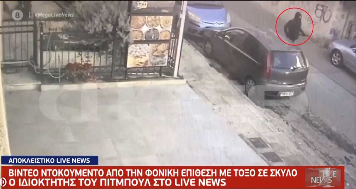 Πετρούπολη: Βίντεο ντοκουμέντο από τη φονική επίθεση με τόξο σε σκύλο