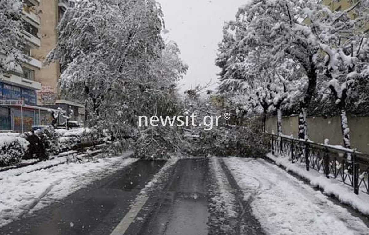 Καιρός – Μήδεια: Έπεσε δέντρο από τα χιόνια και έκλεισε η Ευελπίδων