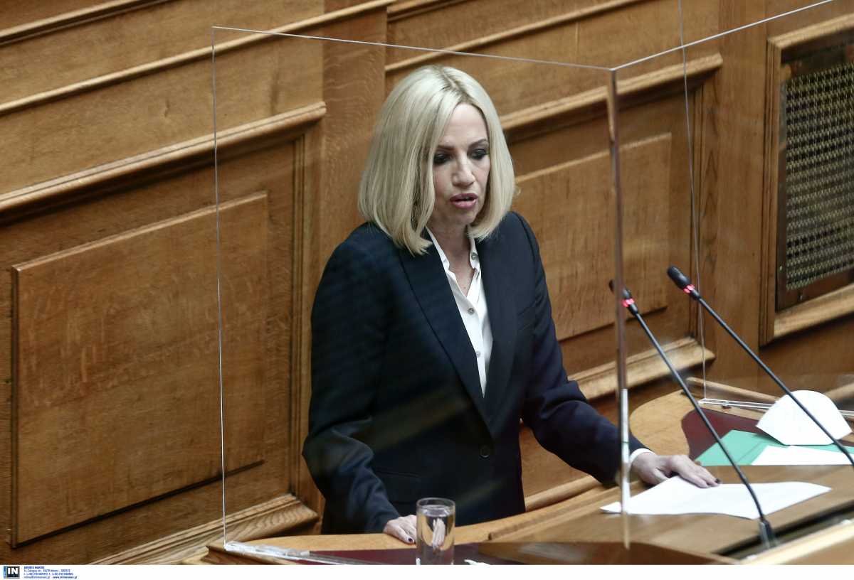 Φώφη Γεννηματά για Βίλια: Ανικανότητα του κράτους – Αρκετά με τα επικοινωνιακά shows