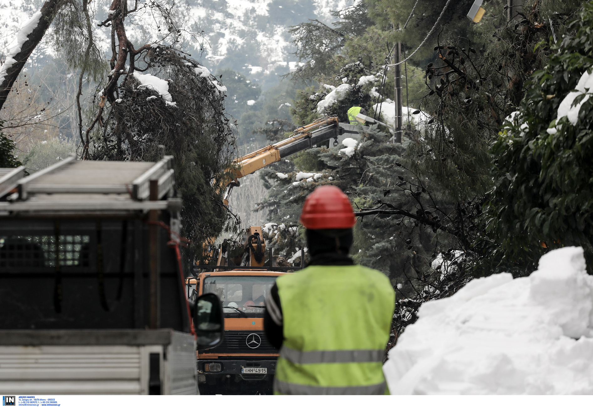 ΔΕΔΔΗΕ: Με άδεια του Δασαρχείου το κλάδεμα των δέντρων