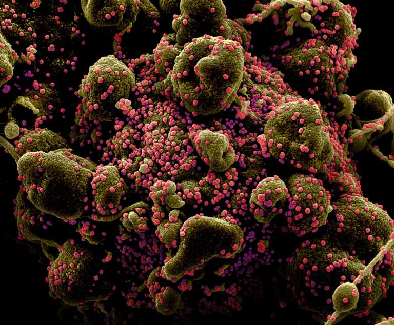 Ισχυρή δυναμική μεταλλάξεων ο SARS-CoV-2 – Αλλάζει μέσα σε τρεις μήνες όσο η γρίπη σε δύο χρόνια