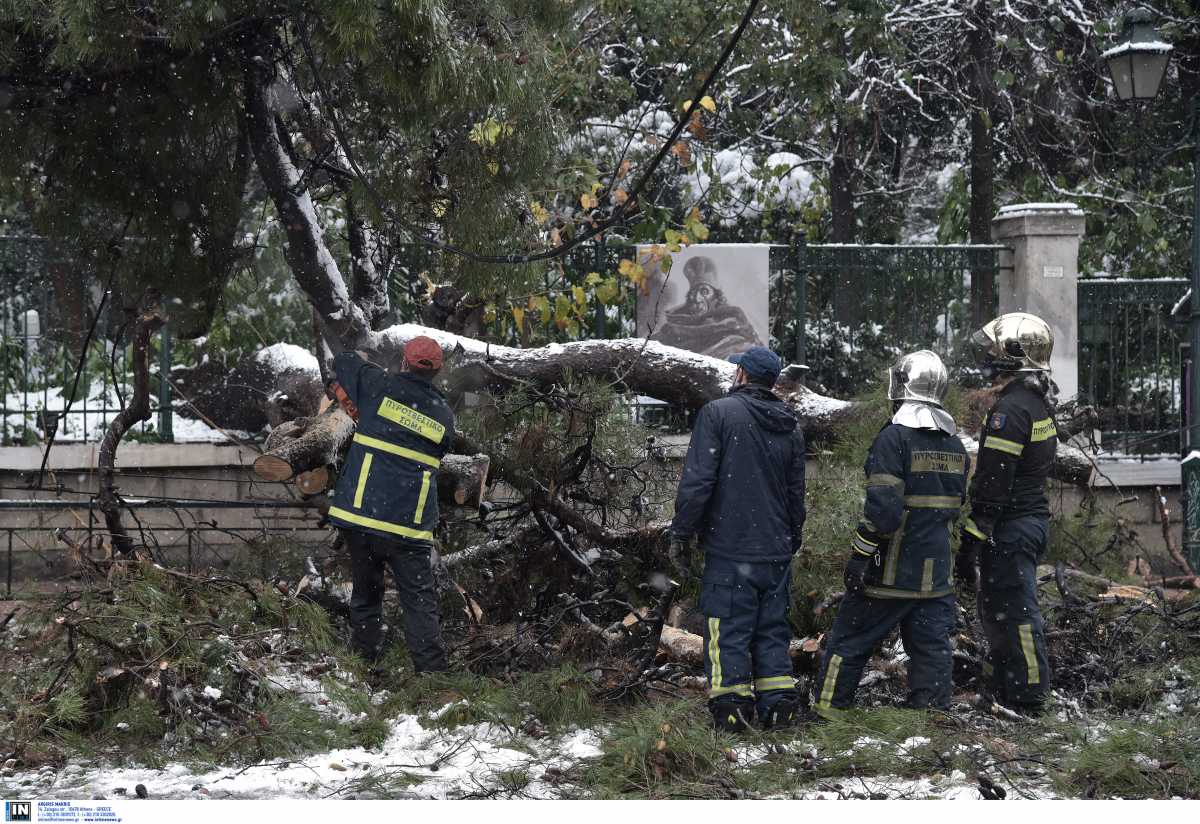 Καιρός – ΔΕΔΔΗΕ: Αποκαταστάθηκαν οι 22 από τις 30 βλάβες σε Αττική και Εύβοια – Που παραμένουν προβλήματα