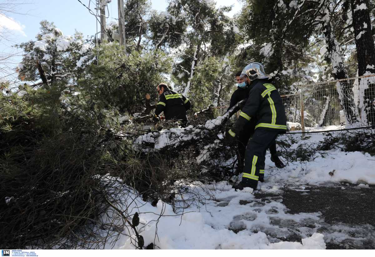 Βορίδης: Η ευθύνη πρωτίστως στον ΔΕΔΔΗΕ – Χιλιάδες νοικοκυριά παραμένουν χωρίς ρεύμα