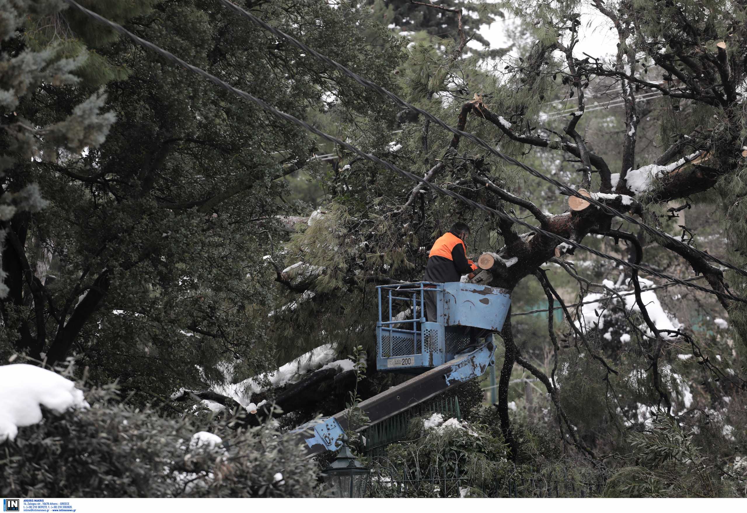 Χιλιάδες νοικοκυριά στην Αττική χωρίς ρεύμα για 5η μέρα – Η νέα ανακοίνωση του ΔΕΔΔΗΕ 