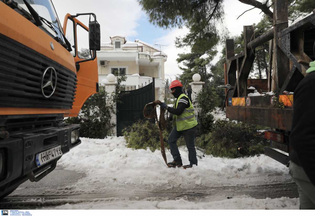 Διόνυσος: 72 δραματικές ώρες για χιλιάδες πολίτες – 1.200 δέντρα πεσμένα και 4 καυτά ερωτήματα