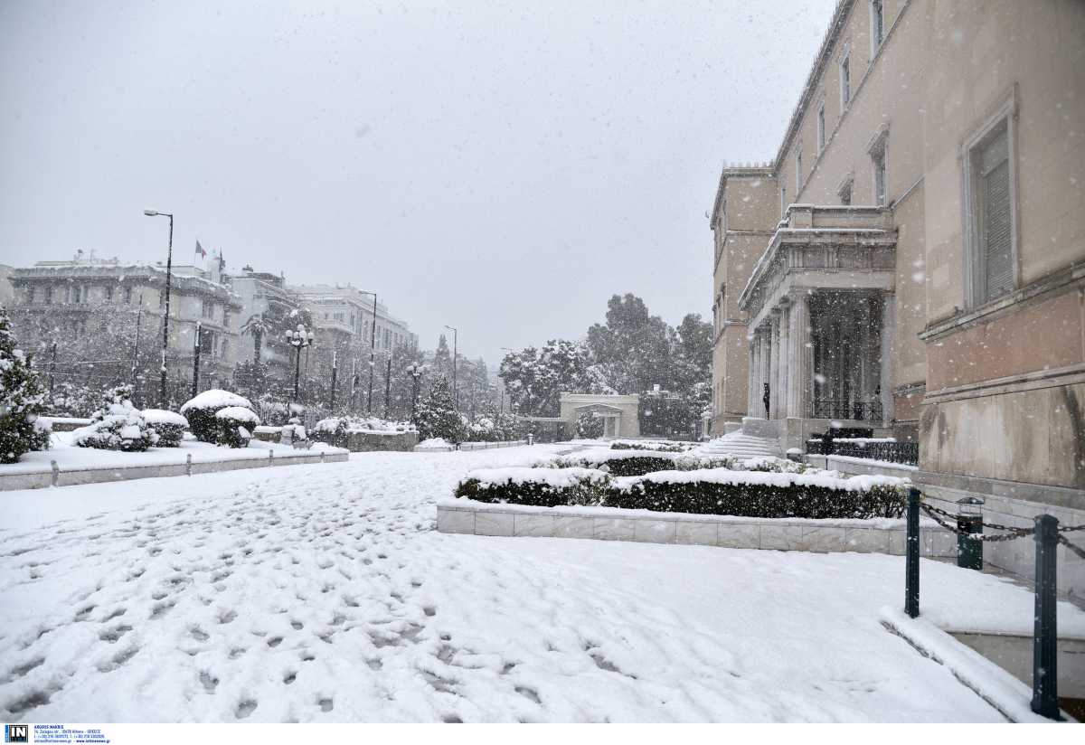 Πτώση δέντρου μπροστά στη Βουλή: Έκλεισε η Βασιλίσσης Σοφίας