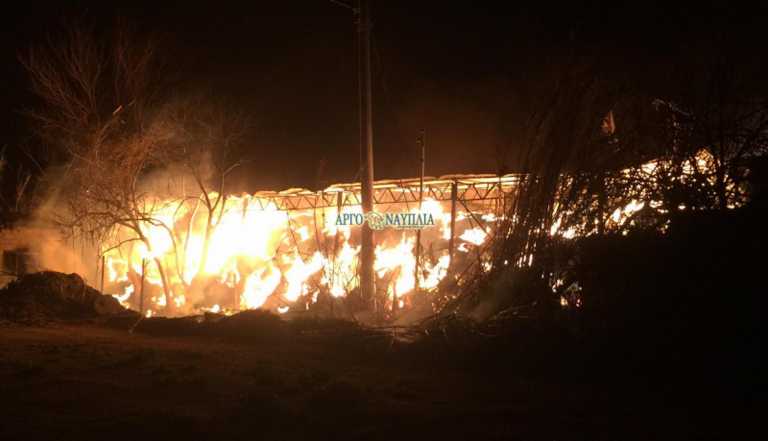 Άργος: Μεγάλη φωτιά σε φάρμα – Εικόνες που σοκάρουν