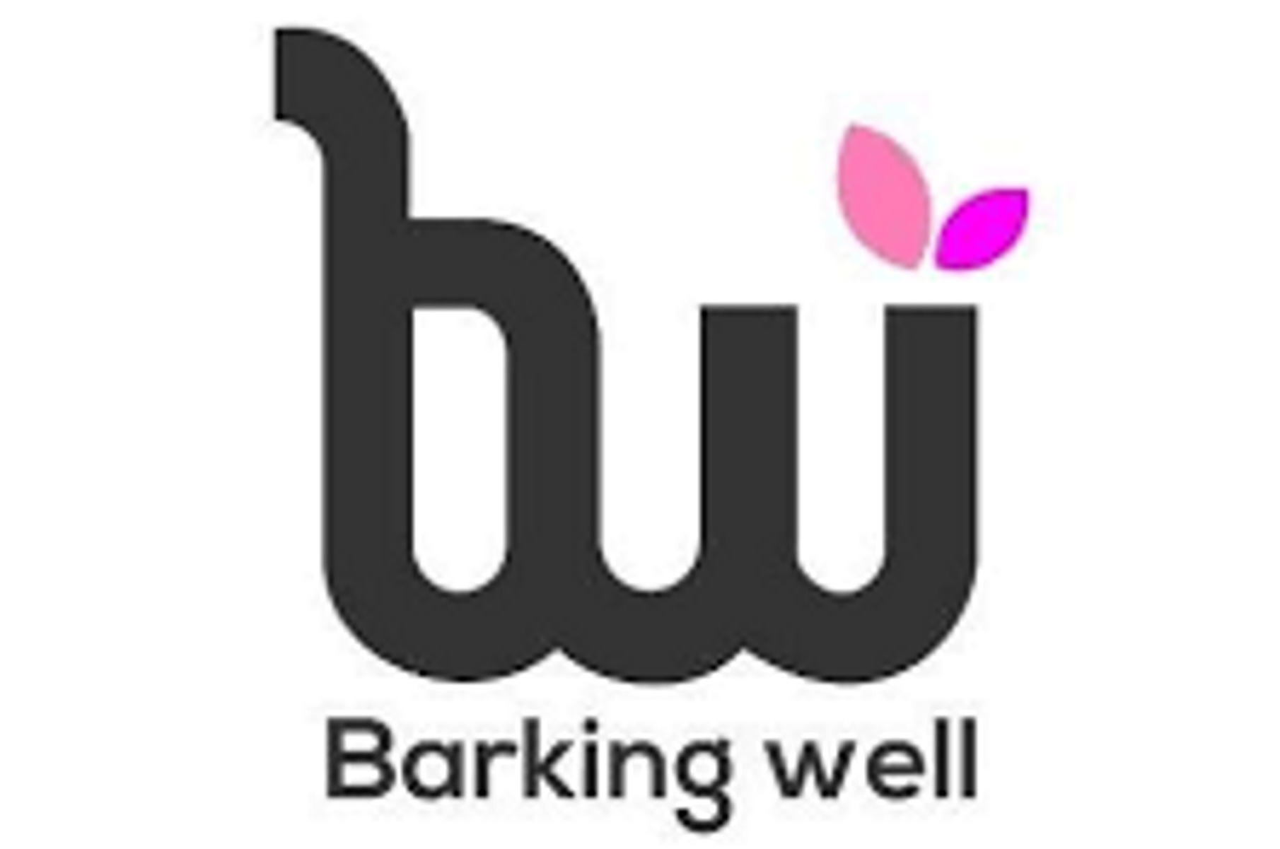 BarkingWell Media: Δίπλα στην Καινούργιου και τους παρουσιαστές των ψυχαγωγικών εκπομπών