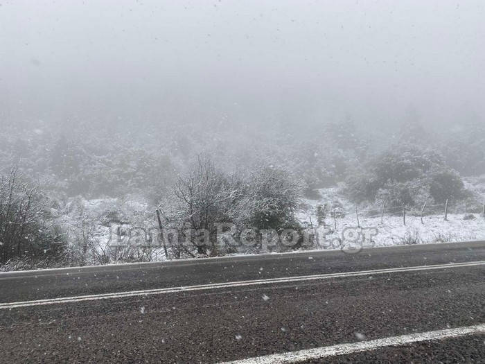 Καιρός – Φθιώτιδα: Χιόνια στο κομμάτι του Μπράλου – Επί ποδός τα συνεργεία στους δρόμους (pics)