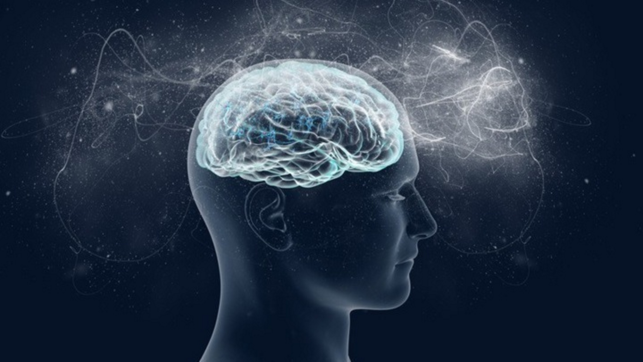 Ο ανθρώπινος εγκέφαλος μπορεί να μην λειτουργεί για ώρες – Ανατρεπτική έρευνα με επικεφαλής Έλληνες