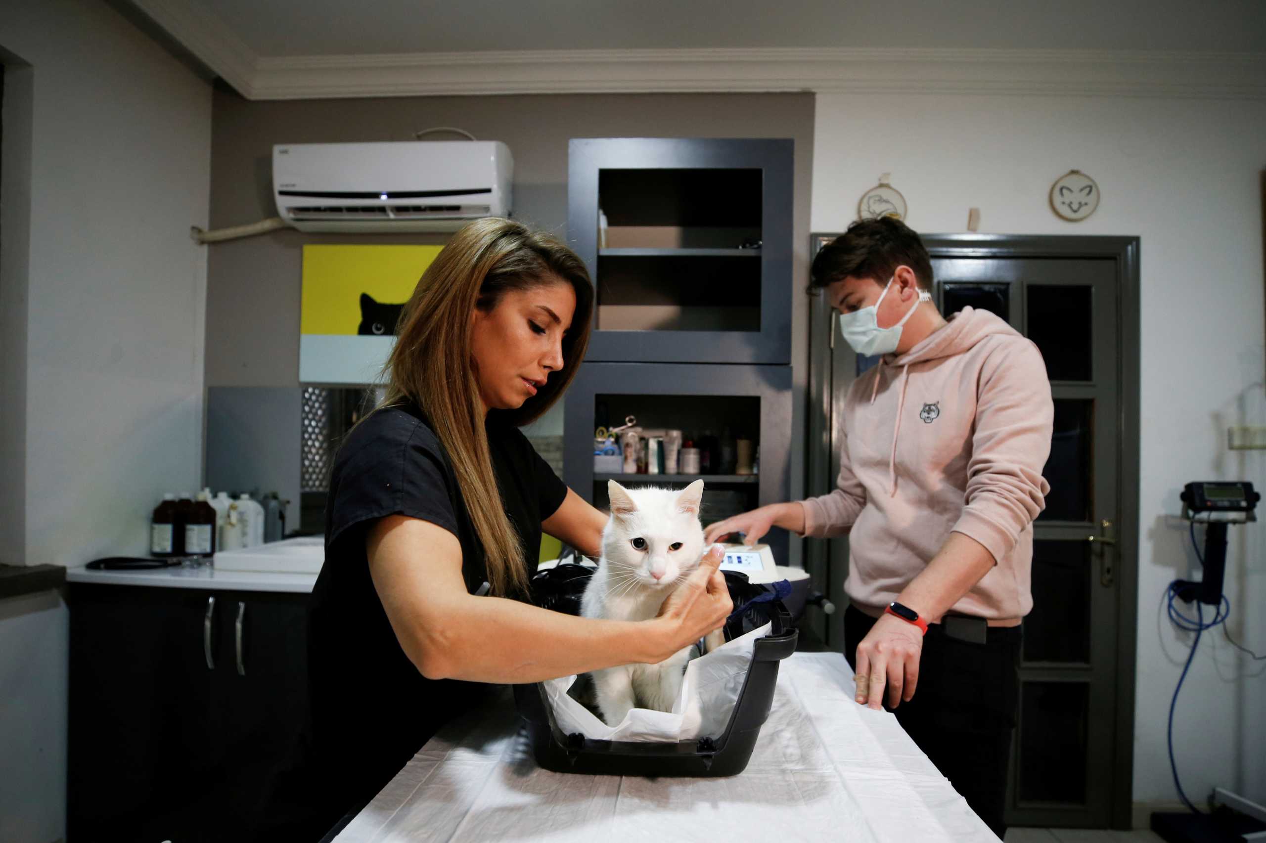 Veterinarian Yagmur Denli treats a cat at a veterinary clinic in Ankara, Turkey March 23, 2021. Picture taken March 23, 2021. REUTERS