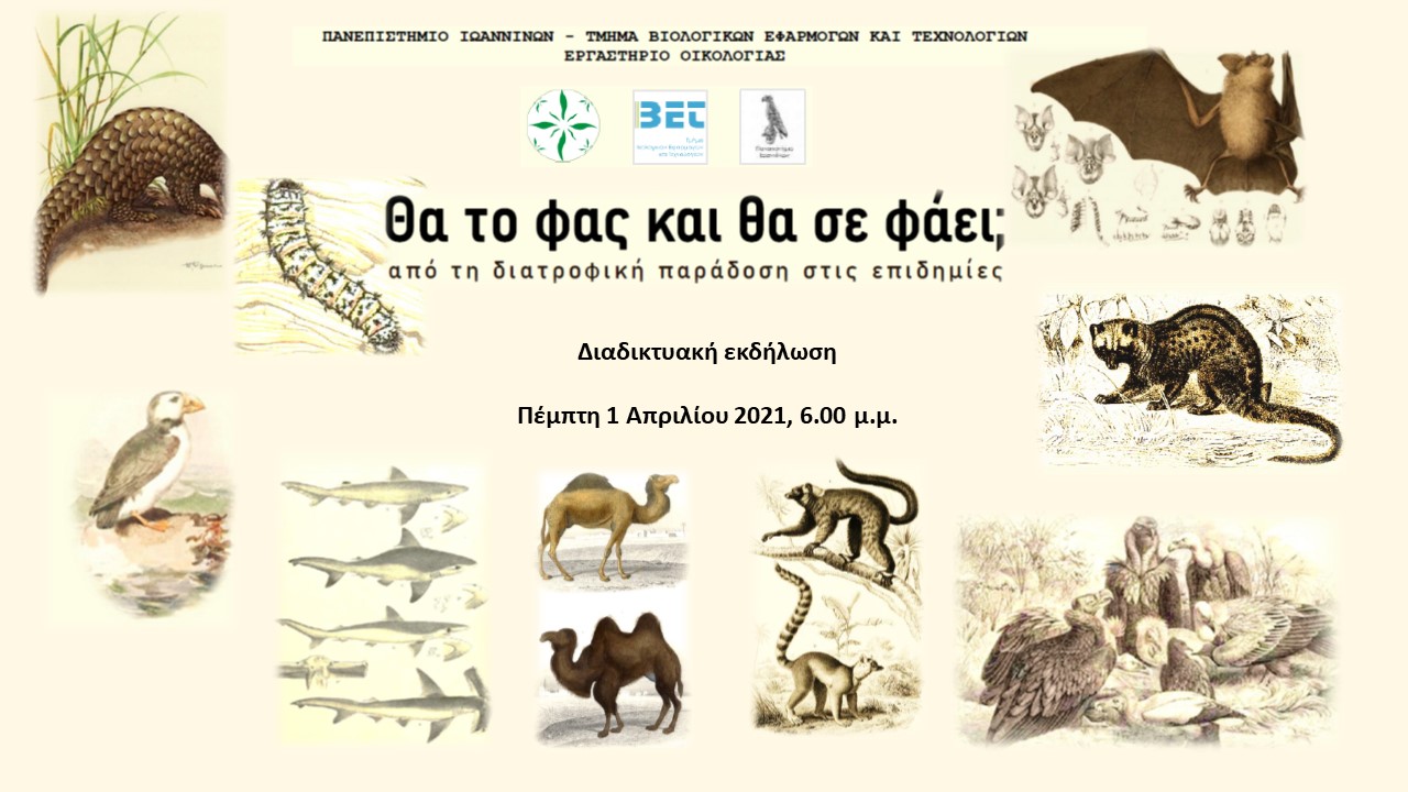 Γιάννενα: Μεζέ νυχτερίδας, κάμπια γιαχνί και πτερύγιο καρχαρία – Φοιτητές «σερβίρουν» και εξηγούν