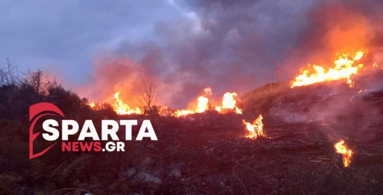 Μεγάλη φωτιά στη Λακωνία – Μάχη για να μην επεκταθεί στα χωριά του Ευρώτα (pics, vid)