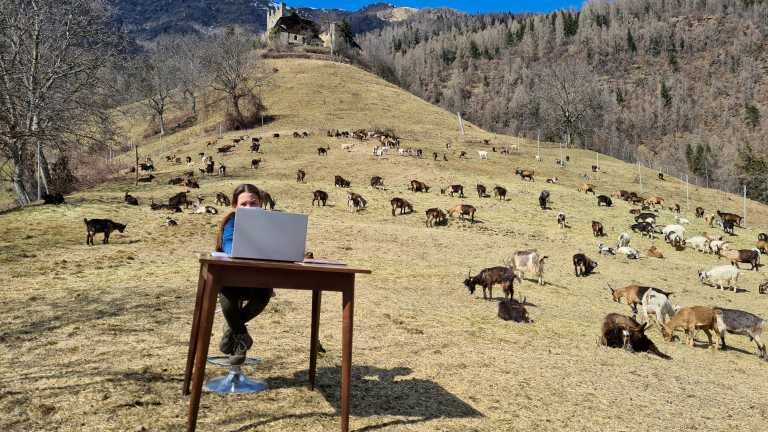 Η 10χρονη βοσκοπούλα που κάνει τηλεκπαίδευση στα βουνά (pics)