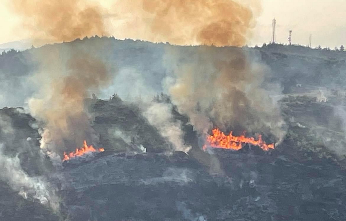 Φωτιά στον Κάλαμο Ωρωπού (video)