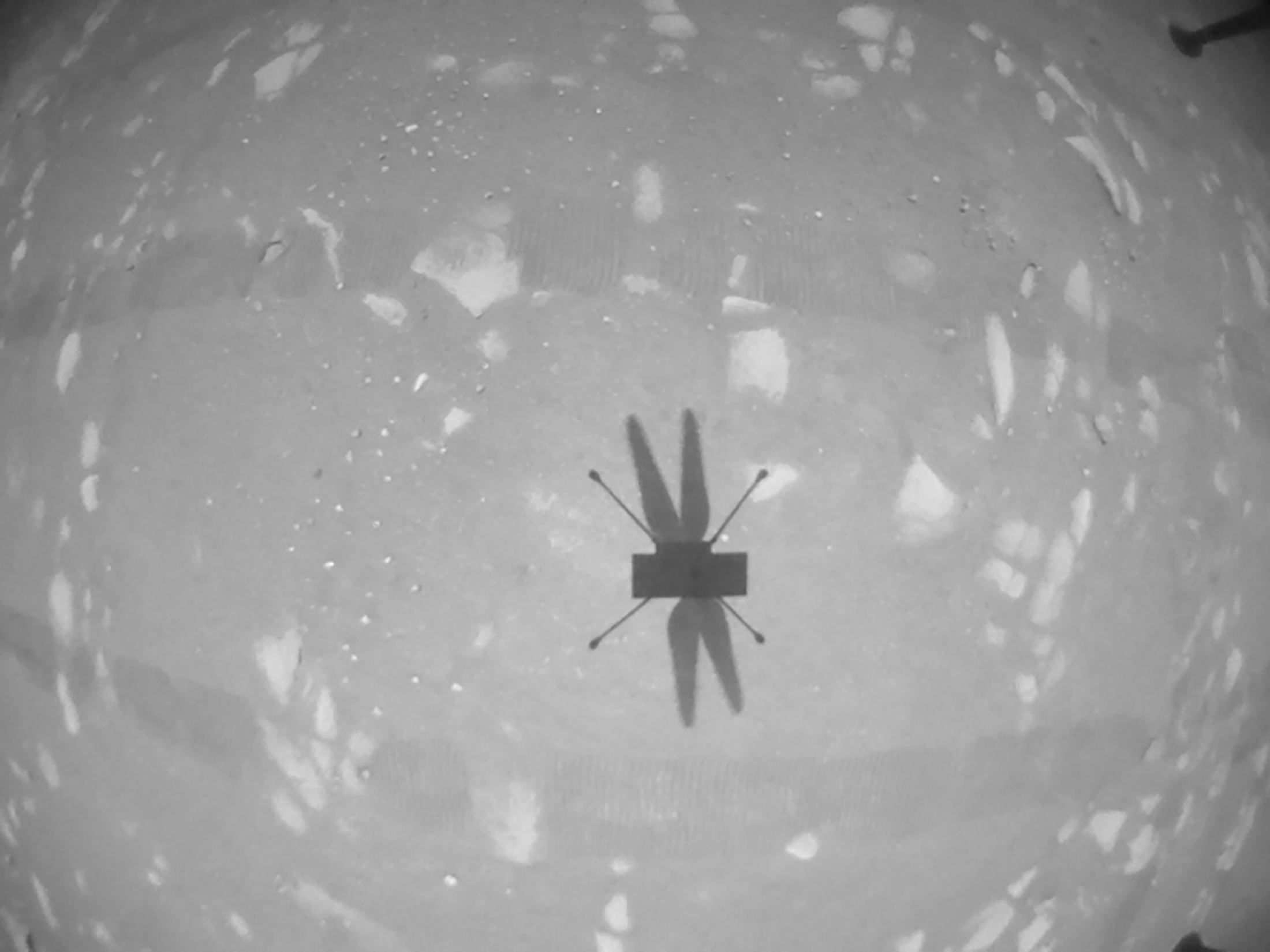 The shadow of NASA's Mars helicopter Ingenuity is seen during its second flight, captured by its black-and-white navigation camera April 22, 2021. NASA