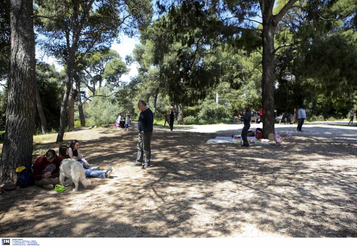 Βόλτα στην Αττική: Εξερεύνησε το εντυπωσιακό Άλσος Συγγρού