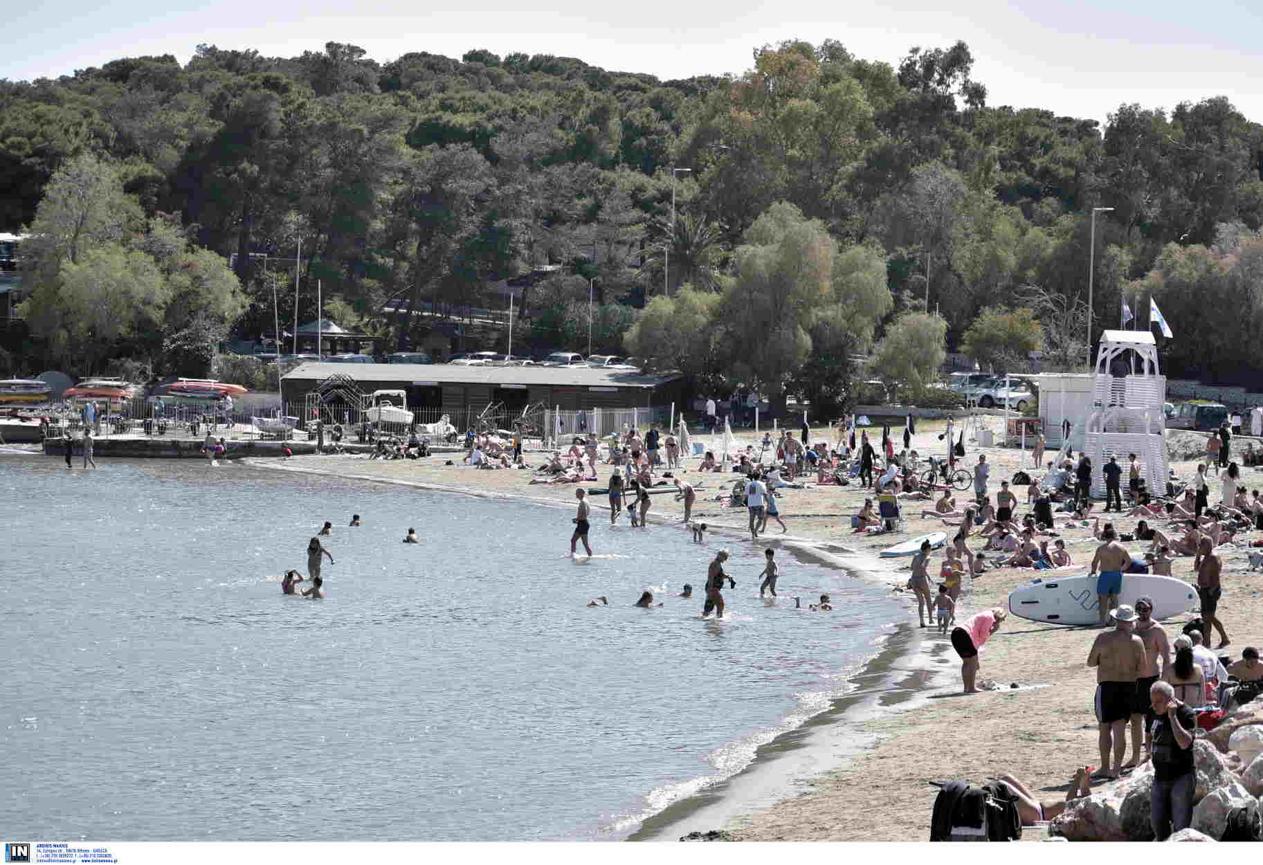 Δάσος της Φασκομηλιάς: Το άγνωστο μυστικό στη Βουλιαγμένη