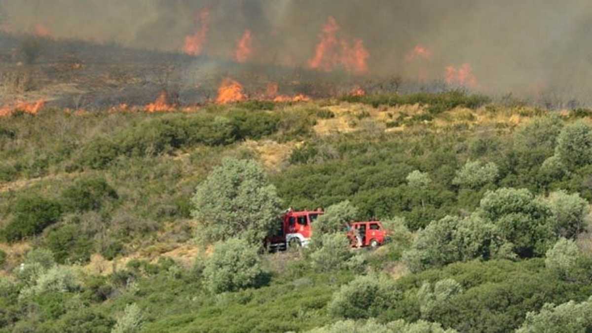 Φωτιά στο Πήλιο κοντά σε χωριό