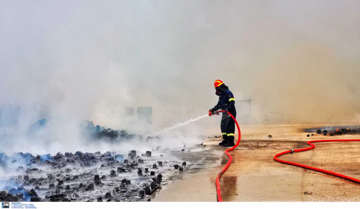 Μεγάλη φωτιά σε εργοστάσιο στην Αργολίδα (pics, vid)