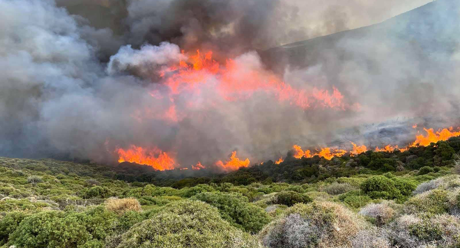 Σε εξέλιξη δασικές φωτιές σε Κορινθία και Ηλεία – Μάχη με το χρόνο από τους πυροσβέστες