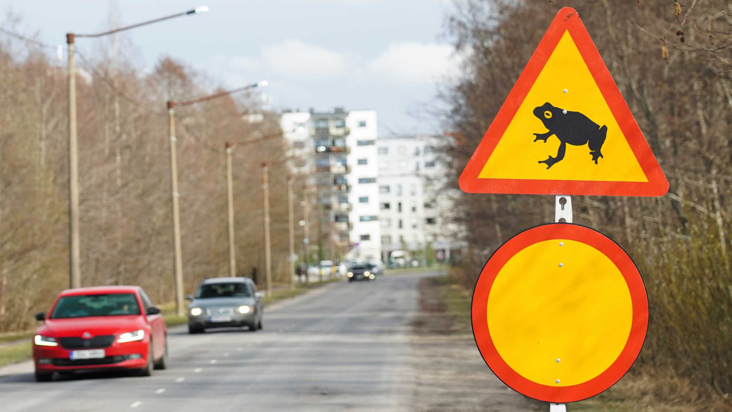 A road sign depicting a frog is seen on a closed road section in Tallinn, Estonia April 13, 2021. Picture taken on April 13, 2021. REUTERS