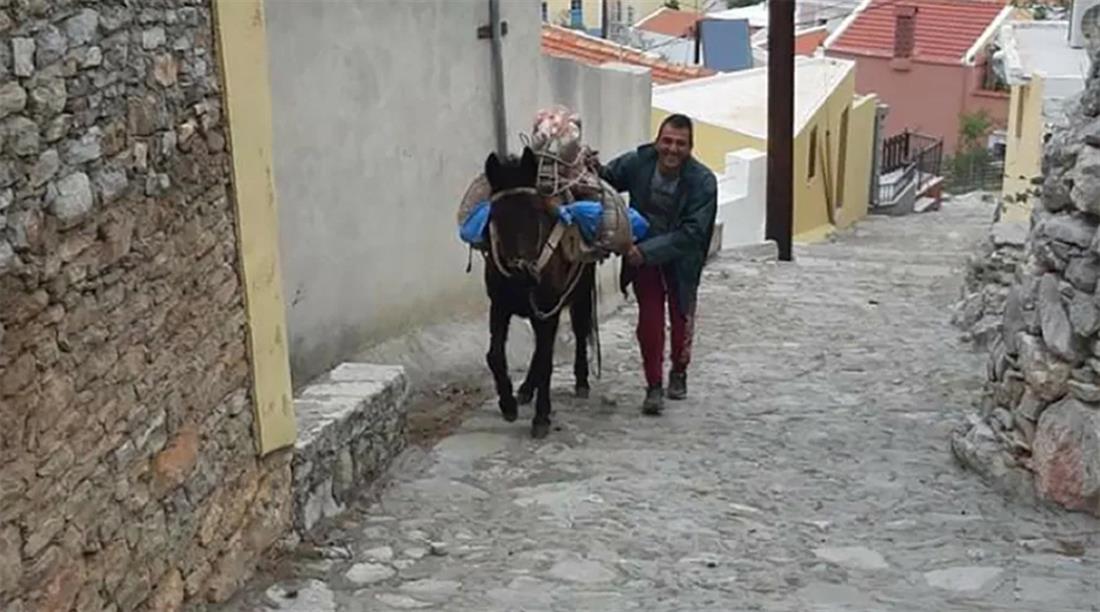 Σύμη: Γιατί αυτός είναι ο πιο διάσημος γαϊδαρος του νησιού – Γνωρίστε τον Βαλαντάκο (pic)