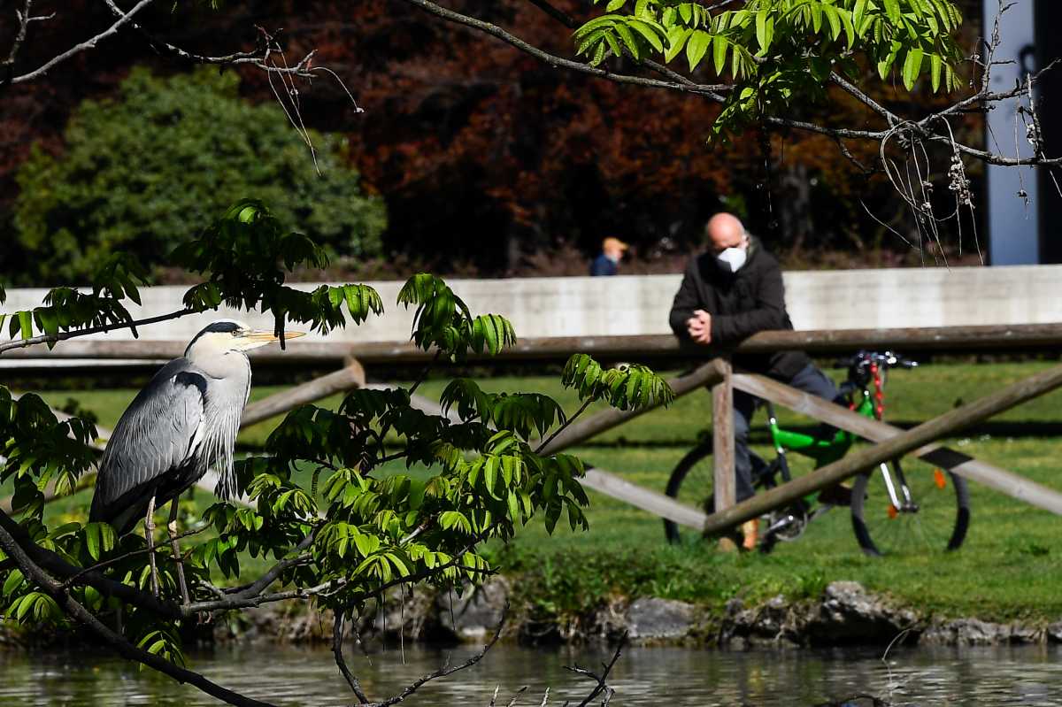 A man wearing a face mask takes a rest near a grey heron at the Sempione park, after Lombardy was downgraded from a red to an orange zone, loosening the coronavirus disease (COVID-19) restrictions including allowing non-essential shops to re-open, in Milan, Italy, April 13, 2021. REUTERS