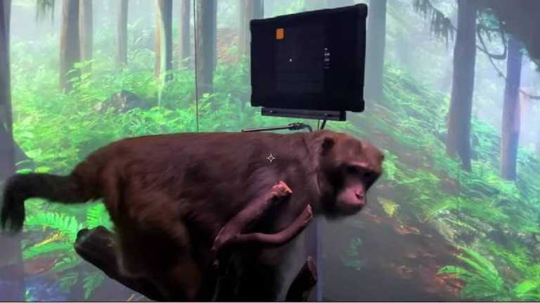 Ο Έλον Μασκ παρουσιάζει μαϊμού να παίζει βιντεοπαιχνίδι… με το νου της (vid)