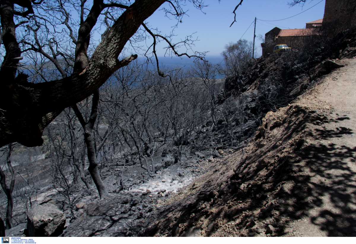 Μάνη: Μεγάλη φωτιά στην Κοκκάλα  – Στην μάχη και δυο αεροσκάφη